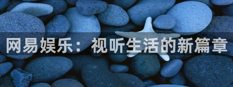 意昂3平台主管：网易娱乐：视听生活的新篇章