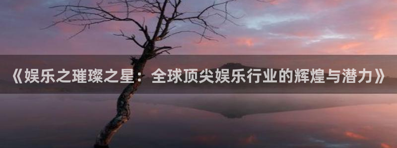 意昂2代理注册：《娱乐之璀璨之星：全球顶尖娱乐行业的辉煌与潜力》