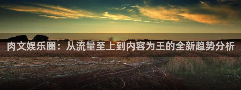 意昂2登录入口：肉文娱乐圈：从流量至上到内容为王的全新趋势分析