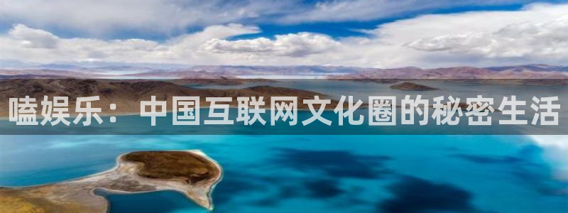 意昂3官网登录：嗑娱乐：中国互联网文化圈的秘密生活