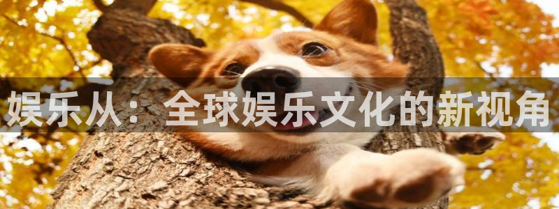 意昂3登录：娱乐从：全球娱乐文化的新视角