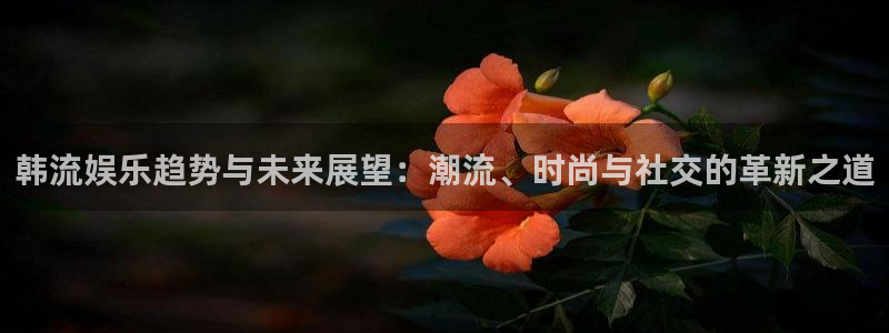 意昂2代理注册：韩流娱乐趋势与未来展望：潮流、时尚与社交的革新之道