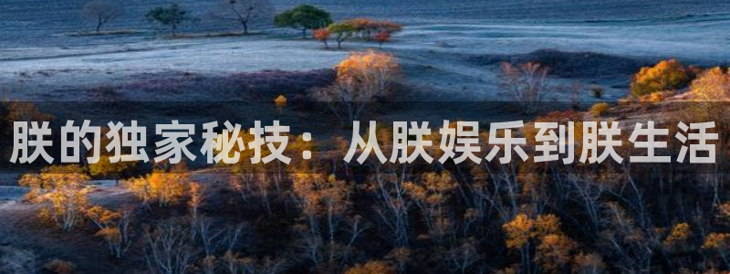 意昂3平台主管：朕的独家秘技：从朕娱乐到朕生活